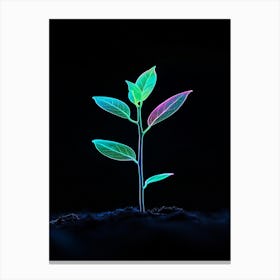 Neon Plant Growing In The Dark Canvas Print