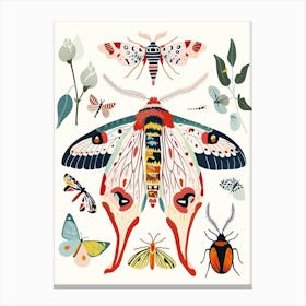 Colourful Insect Illustration Moth 10 Canvas Print