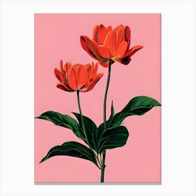 Two Red Tulips Canvas Print Canvas Print