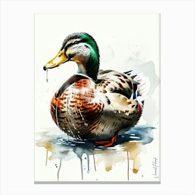 A Wild Male Duck Canvas Print