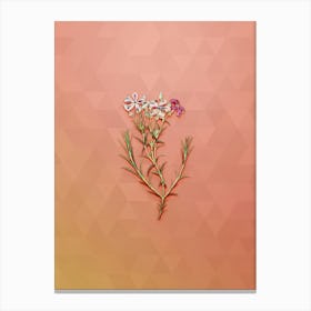 Vintage Shewy Phlox Flower Branch Botanical Art on Peach Pink n.0137 Canvas Print