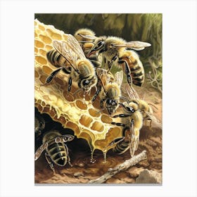 Sweat Bee Storybook Illustration 10 Canvas Print