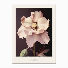 Floral Illustration Hellebore 2 Poster Canvas Print