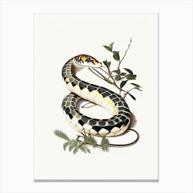 Mangrove Snake 1 Vintage Canvas Print