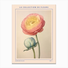Ranunculus French Flower Botanical Poster Canvas Print