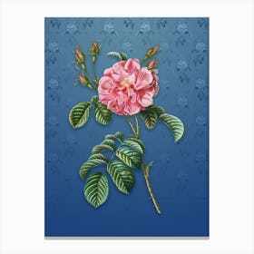 Vintage Pink Wild Rose Botanical on Bahama Blue Pattern n.2305 Canvas Print