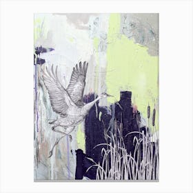 Sandhill Crane  Bird Canvas Print
