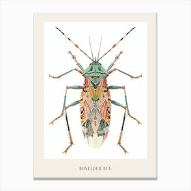 Colourful Insect Illustration Boxelder Bug 13 Poster Canvas Print