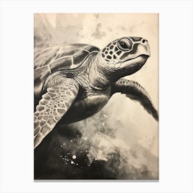 Sepia Sea Turtle Illustration Canvas Print