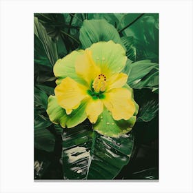 Yellow Hibiscus Flower Canvas Print