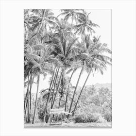 Black And White Photograph Of Palm Trees Canvas Print