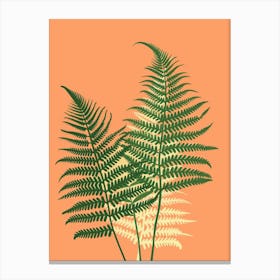 Fern Plant Minimalist Illustration 8 Canvas Print