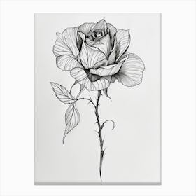 English Rose Black And White Line Drawing 37 Canvas Print
