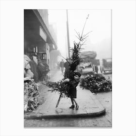 Little Boy With Christmas Tree, Vintage Black and White Old Photo Canvas Print