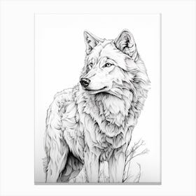 Arctic Wolf Line Drawing 4 Canvas Print