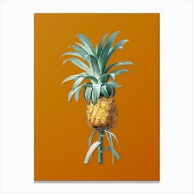 Vintage Pineapple Botanical on Sunset Orange n.0317 Canvas Print