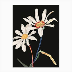 Neon Flowers On Black Daisy 2 Canvas Print