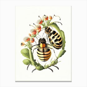 Larva Bees 4 Vintage Canvas Print