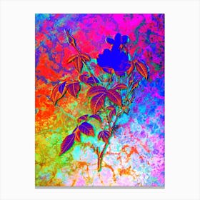 White Bengal Rose Botanical in Acid Neon Pink Green and Blue n.0345 Canvas Print