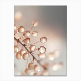 Drops On Leafs No 1 Canvas Print