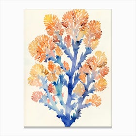 Coral Tree Canvas Print