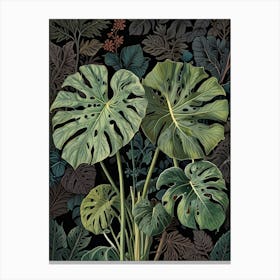 Monstera Leaves 1 Canvas Print