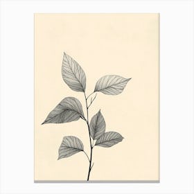 Leaf On A Branch 7 Canvas Print