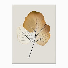 Ginkgo Spices And Herbs Retro Minimal 1 Canvas Print
