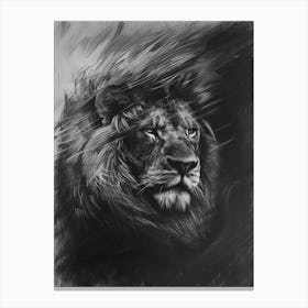 Barbary Lion Charcoal Drawing Facing A Storm 2 Canvas Print