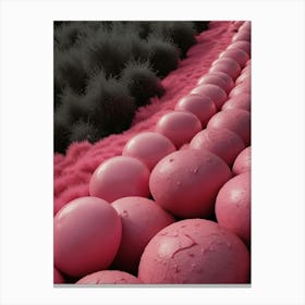 Pink Balls Canvas Print