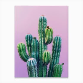 Cactus On A Purple Background 1 Canvas Print