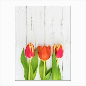 Tulips on a Table Canvas Print