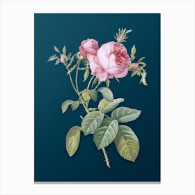 Vintage Pink Cabbage Rose de Mai Botanical Art on Teal Blue n.0321 Canvas Print