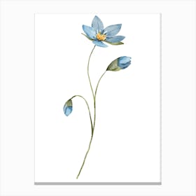 Blue Flower 9 Canvas Print