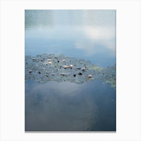 Water lilies and pale blue reflection 1 Canvas Print