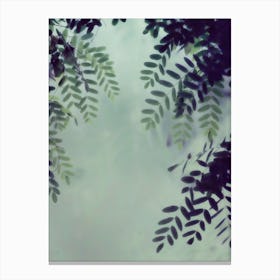 Leaves Greenery in Canvas Print