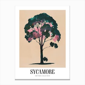 Sycamore Tree Colourful Illustration 1 Poster Canvas Print