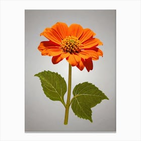 Orange Chrysanthemum Flower Canvas Print