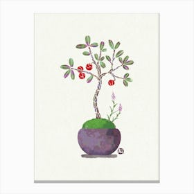 Bonsai Tree - lingonberry Canvas Print