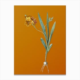 Vintage Ixia Miniata Botanical on Sunset Orange n.0254 Canvas Print