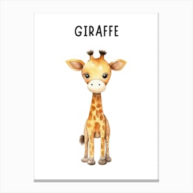 Giraffe 3 Canvas Print