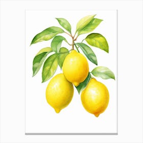Watercolor yellow lemons Canvas Print