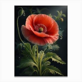 Poppy Flower Canvas Print