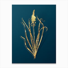 Vintage Wild Asparagus Botanical in Gold on Teal Blue Canvas Print