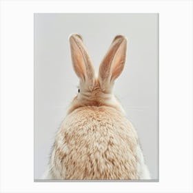 Rabbit On A White Background Canvas Print