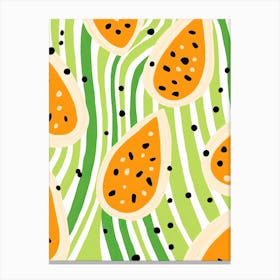 Honeydew Melon Fruit Summer Illustration 3 Canvas Print