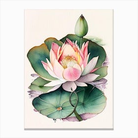 Blooming Lotus Flower In Lake Watercolour Ink Pencil 1 Canvas Print