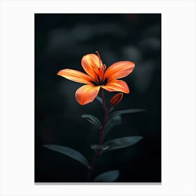 Orange Lily 4 Canvas Print