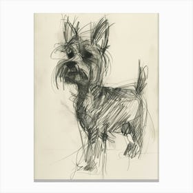 Yorkshire Terrier Charcoal Line 2 Canvas Print