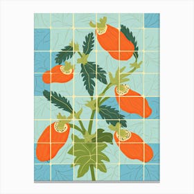 Papaya Illustration 3 Canvas Print